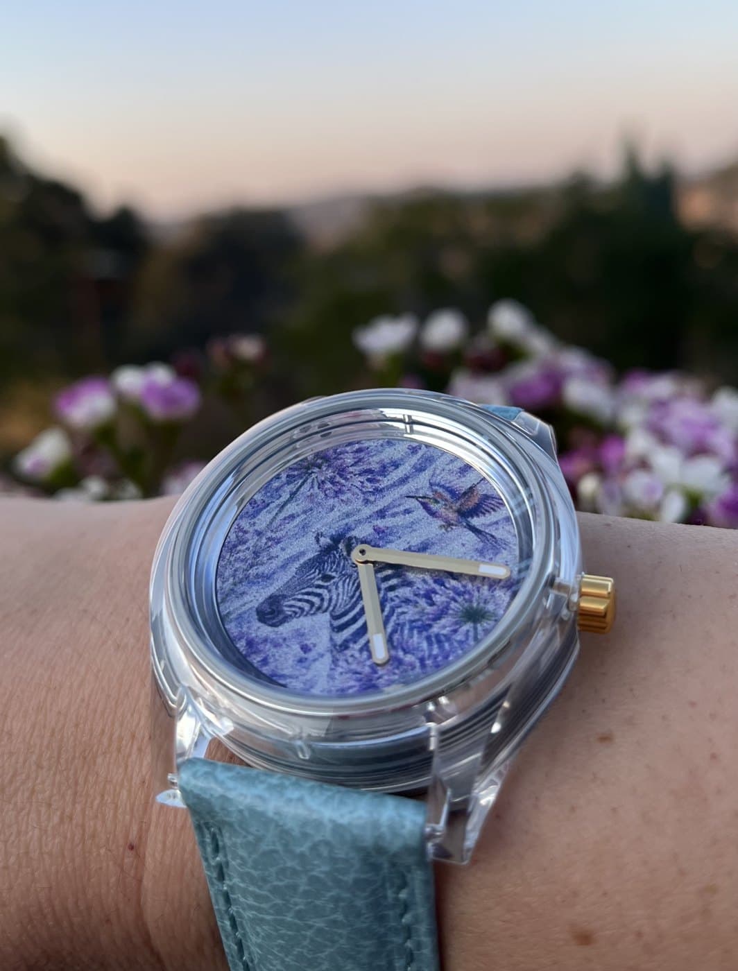 Pilanesberg watch